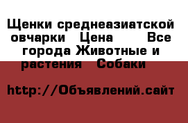 Щенки среднеазиатской овчарки › Цена ­ 1 - Все города Животные и растения » Собаки   